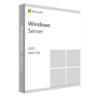 Microsoft Windows Server CAL 2022 French 1pk DSP O