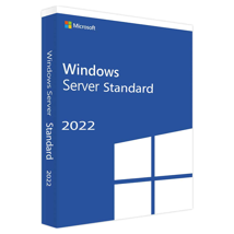 Microsoft Windows Svr Std 2022 64Bit French 1pk DS